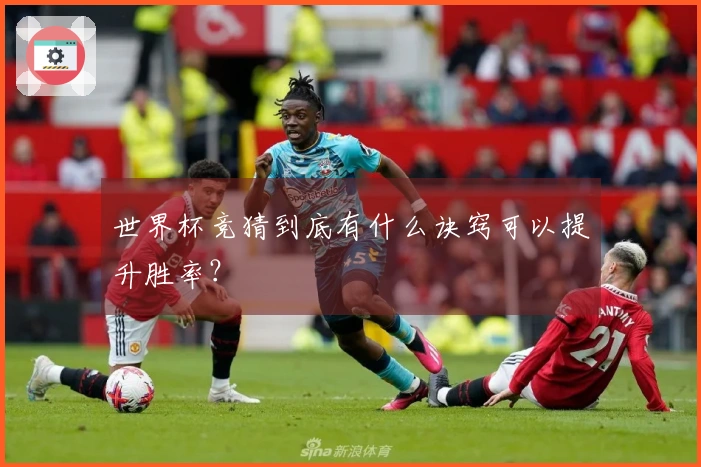 世界杯竞猜到底有什么诀窍可以提升胜率？