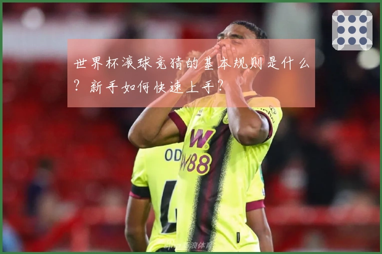 世界杯滚球竞猜的基本规则是什么？新手如何快速上手？