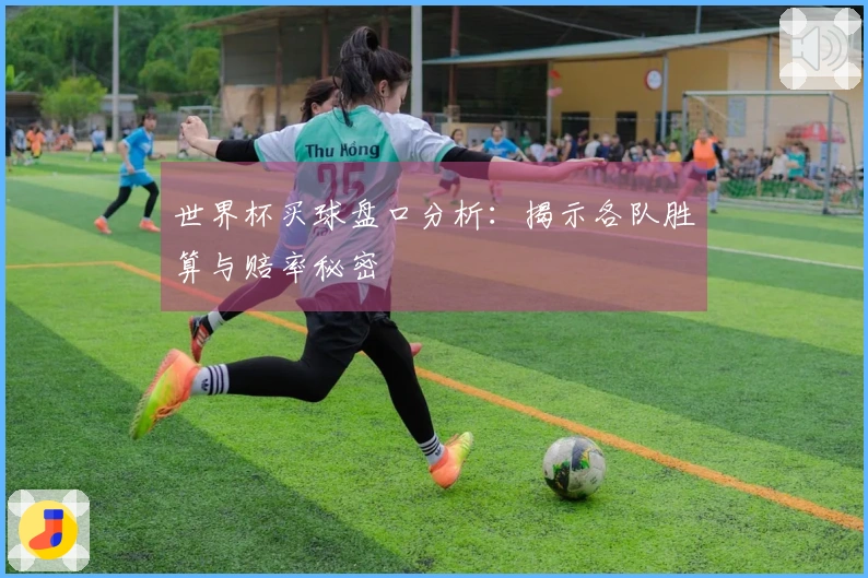 世界杯买球盘口分析：揭示各队胜算与赔率秘密