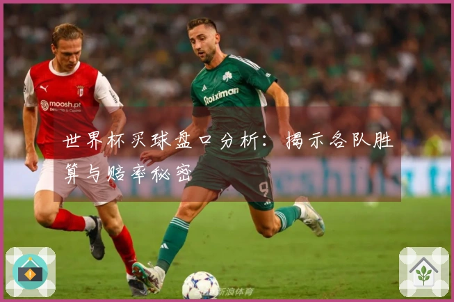 世界杯买球盘口分析：揭示各队胜算与赔率秘密
