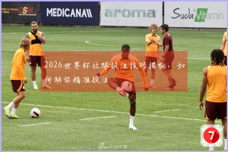 2026世界杯让球投注技巧揭秘，如何助你精准投注