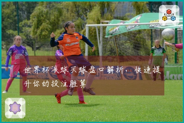 世界杯滚球买球盘口解析，快速提升你的投注胜算