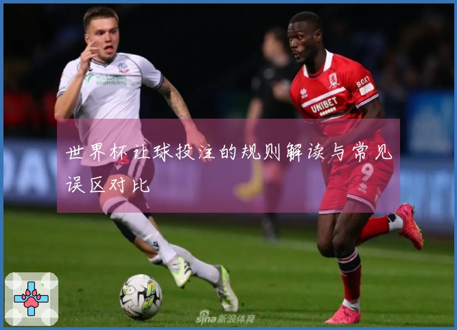 世界杯让球投注的规则解读与常见误区对比